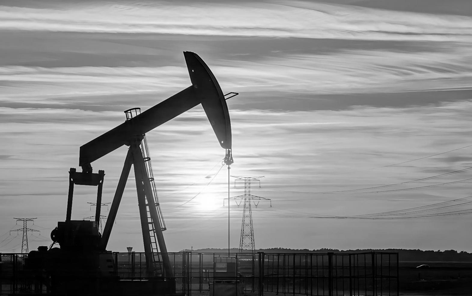 Sesión online sobre regulación de la industria petrolera